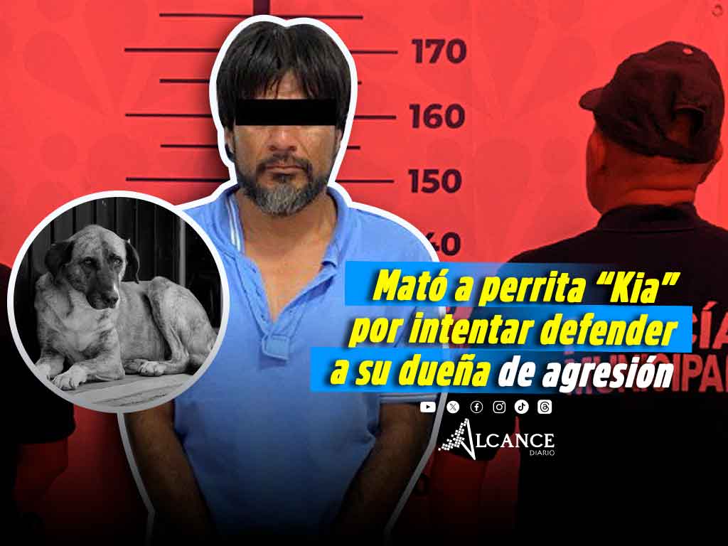Vinculan a proceso a Francisco N., en Santa Isabel Cholula: agredió a su pareja y mató a su perrita