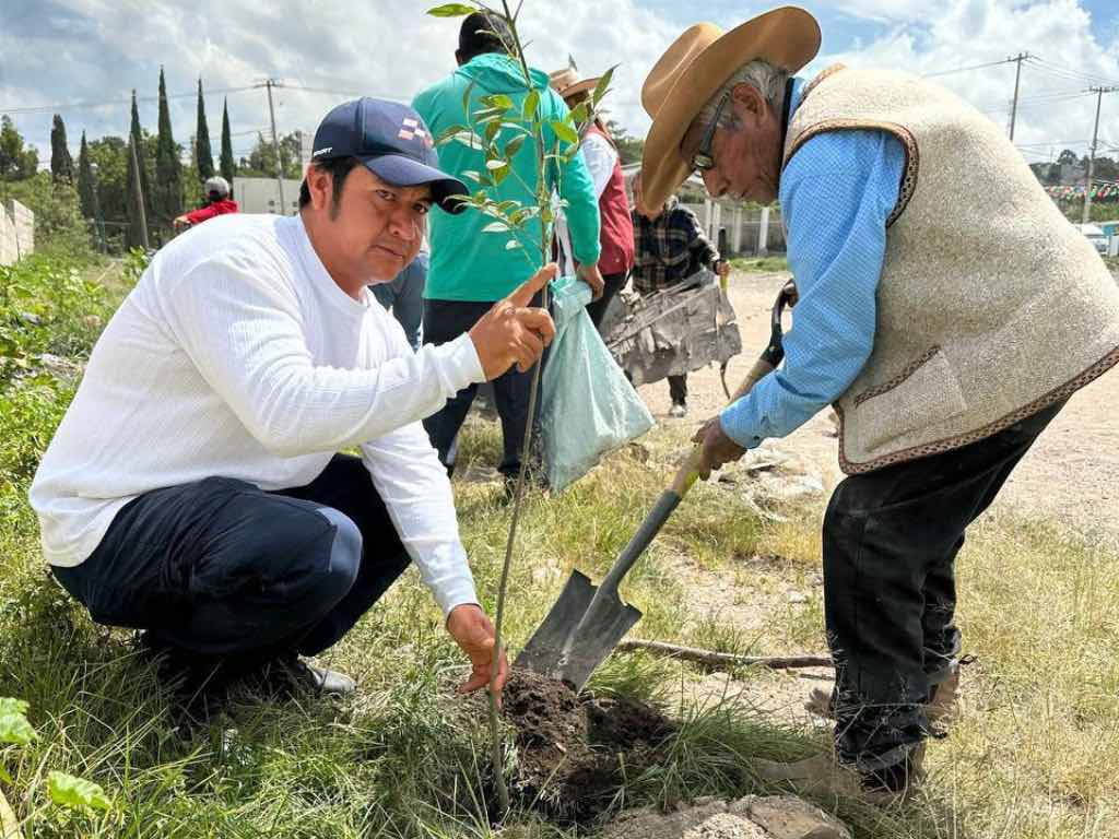 Plantan más de 1,200 árboles nativos en zonas de Puebla Capital con Raíces del Futuro