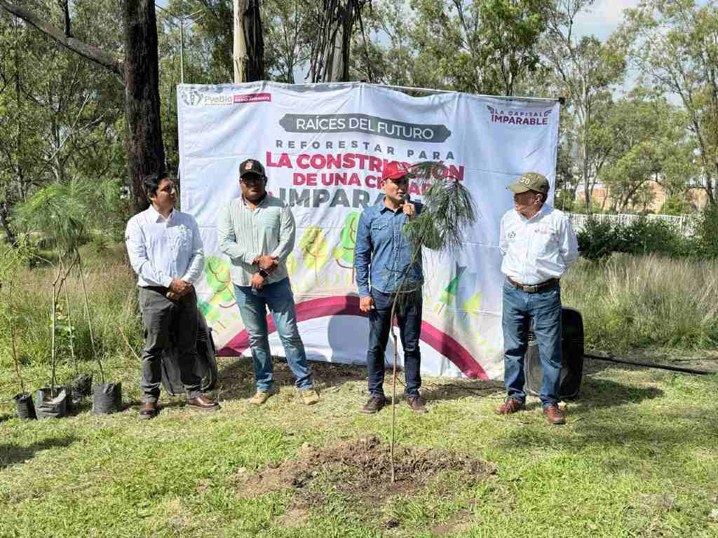 Gobierno de la Ciudad impulsa jornadas de reforestación