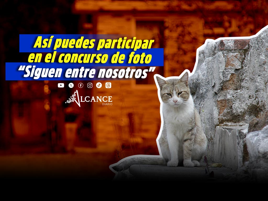 Lanzan concurso de fotografia Siguen entre nosotros para documentar fauna en panteones de Puebla