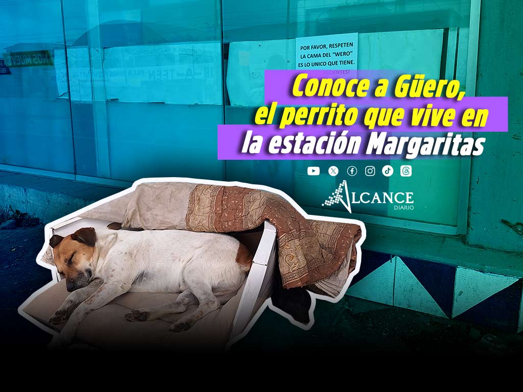 Esta es la historia de Güero, el perrito que eligió la estación Margaritas como su hogar
