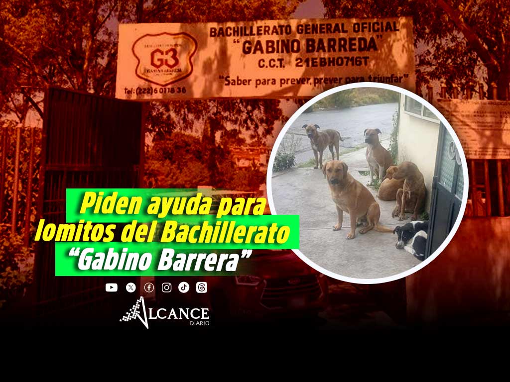Denuncian que directora de Bachillerato “Gabino Barrera” en Puebla Capital busca deshacerse de lomitos