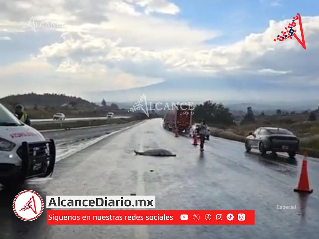 Fuerte accidente deja dos lesionados y una mujer sin vida en Ocoyucan
