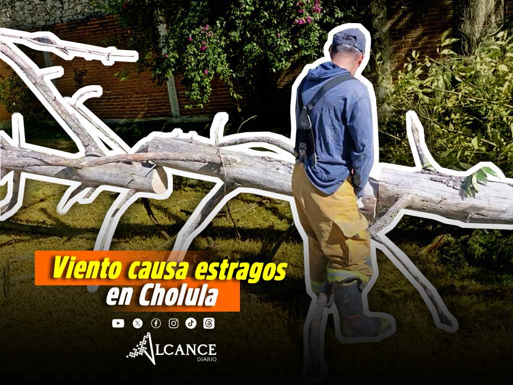 Atienden en San Pedro Cholula más de 15 reportes de daños tras fuerte viento por Frente Frío