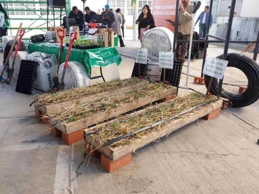 Presentan en la capital programa de huertos escolares “Manos a la Tierra”
