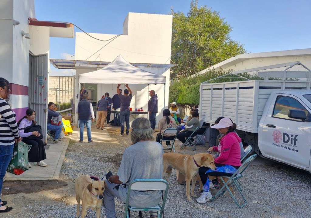 Ayuntamiento de Amozoc realiza jornada de esterilización