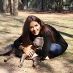 Instituto de Bienestar Animal se deslinda de expo realizada en el Zócalo de Puebla