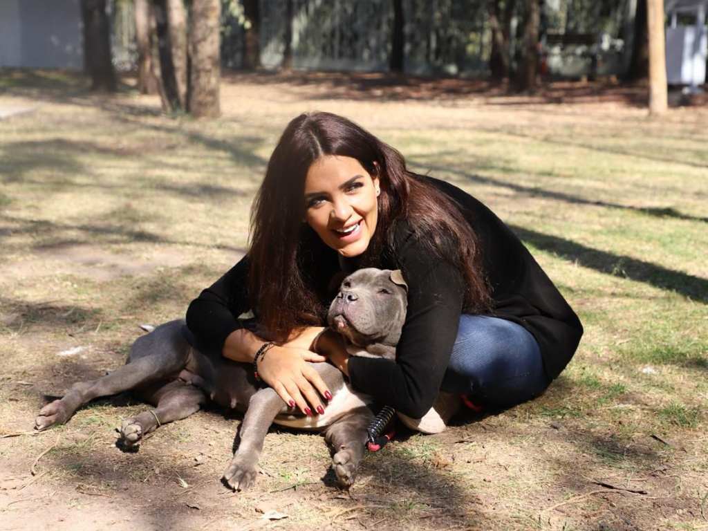 Instituto de Bienestar Animal se deslinda de expo realizada en el Zócalo de Puebla