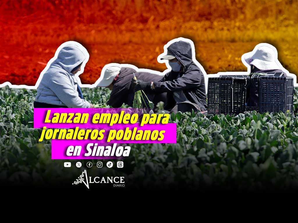 Ofertan empleo en Sinaloa para jornaleras y jornaleros de Puebla