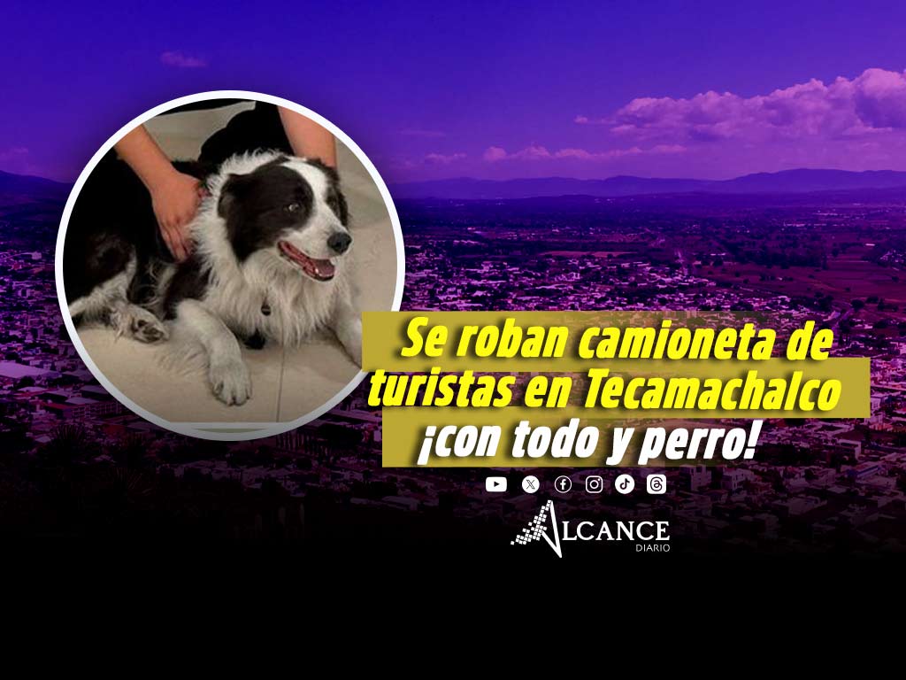 Recuperan camioneta que fue robada con todo y mascota en Tecamachalco