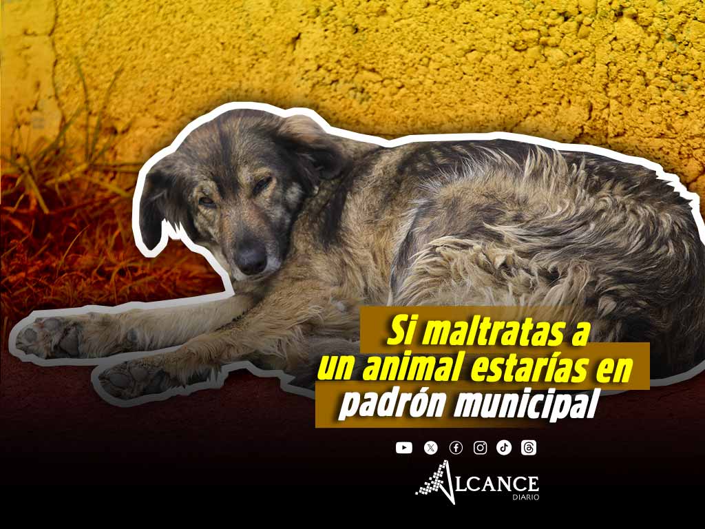 Prevén para 2026 padrón de personas agresoras de animales en la ciudad de Puebla
