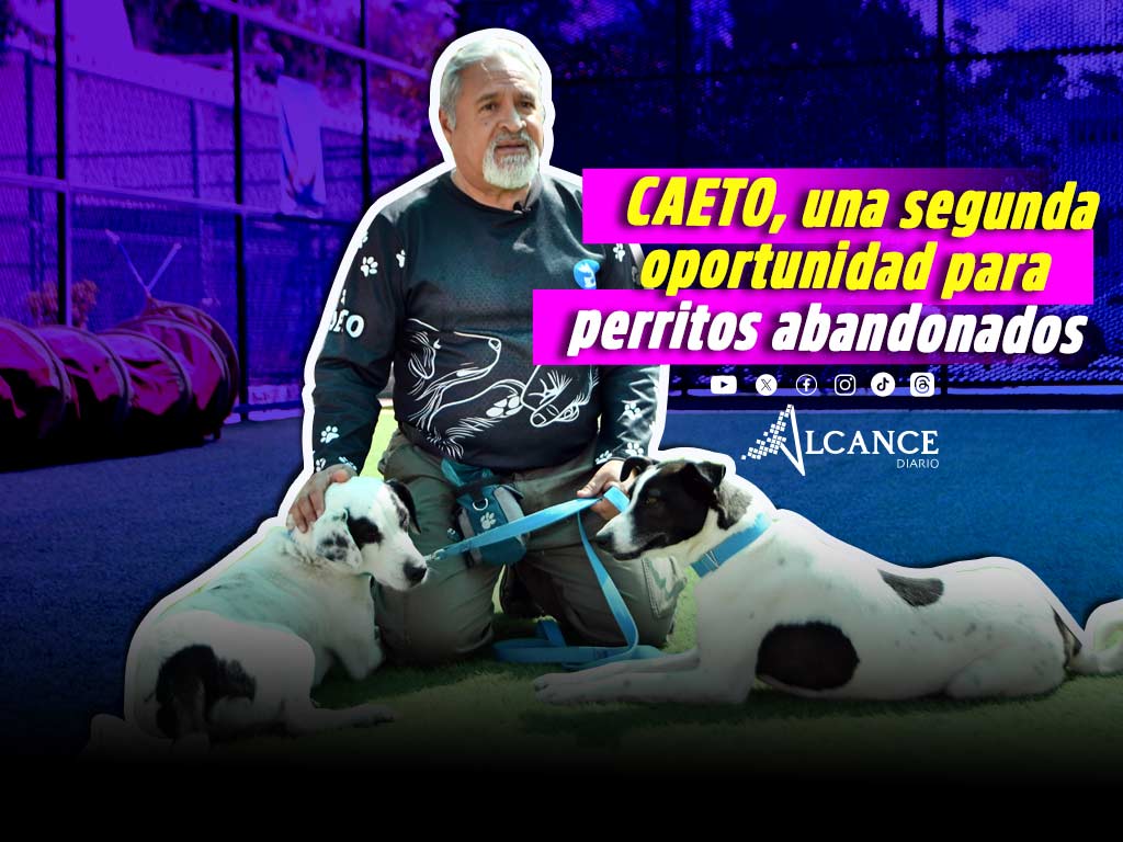 CAETO, un espacio que preserva el bienestar de sus coterapeutas caninos