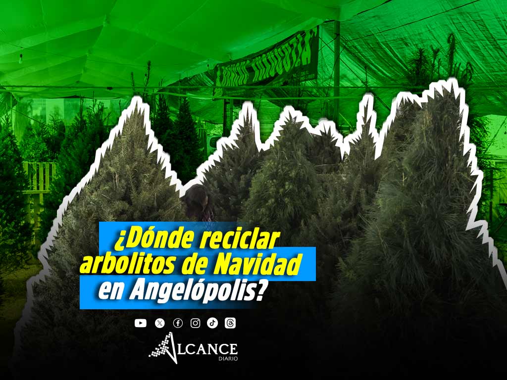 En estos lugares de Lomas de Angelópolis podrás reciclar tu árbol de Navidad