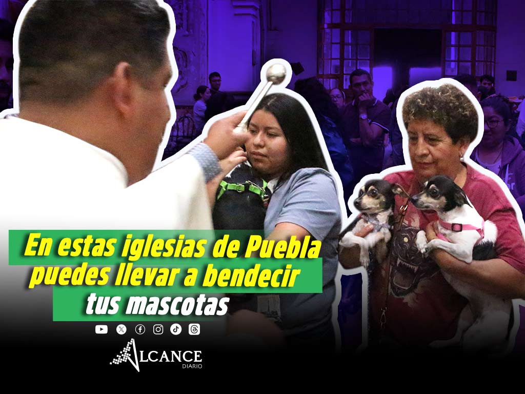 ¿En qué iglesias habrá bendición de las mascotas en Puebla?