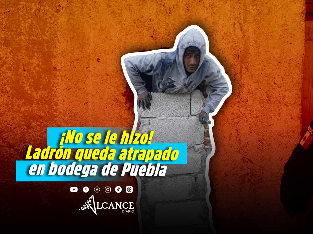¿Primera chamba? Ladrón entra a bodega en Jardines de la Resurrección, queda atrapado y policía lo rescata
