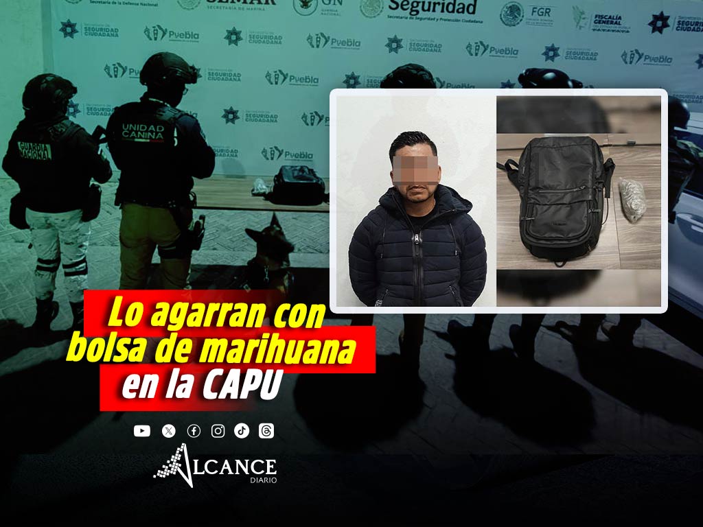 Detiene K9 a hombre con bolsa de marihuana en la CAPU