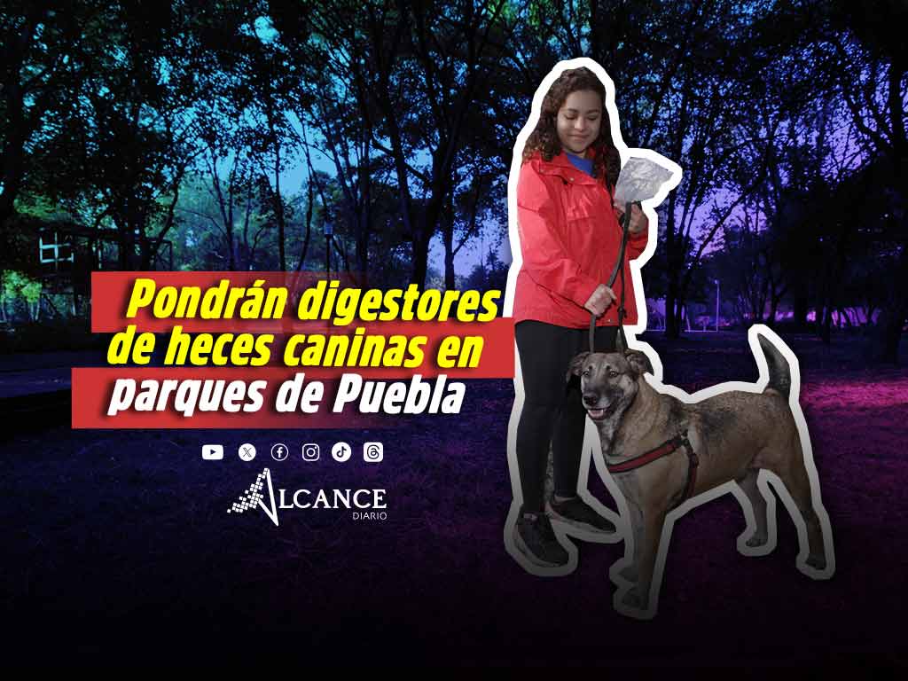 Proyectan instalación de digestores de heces caninas en parques y espacios públicos en la ciudad de Puebla