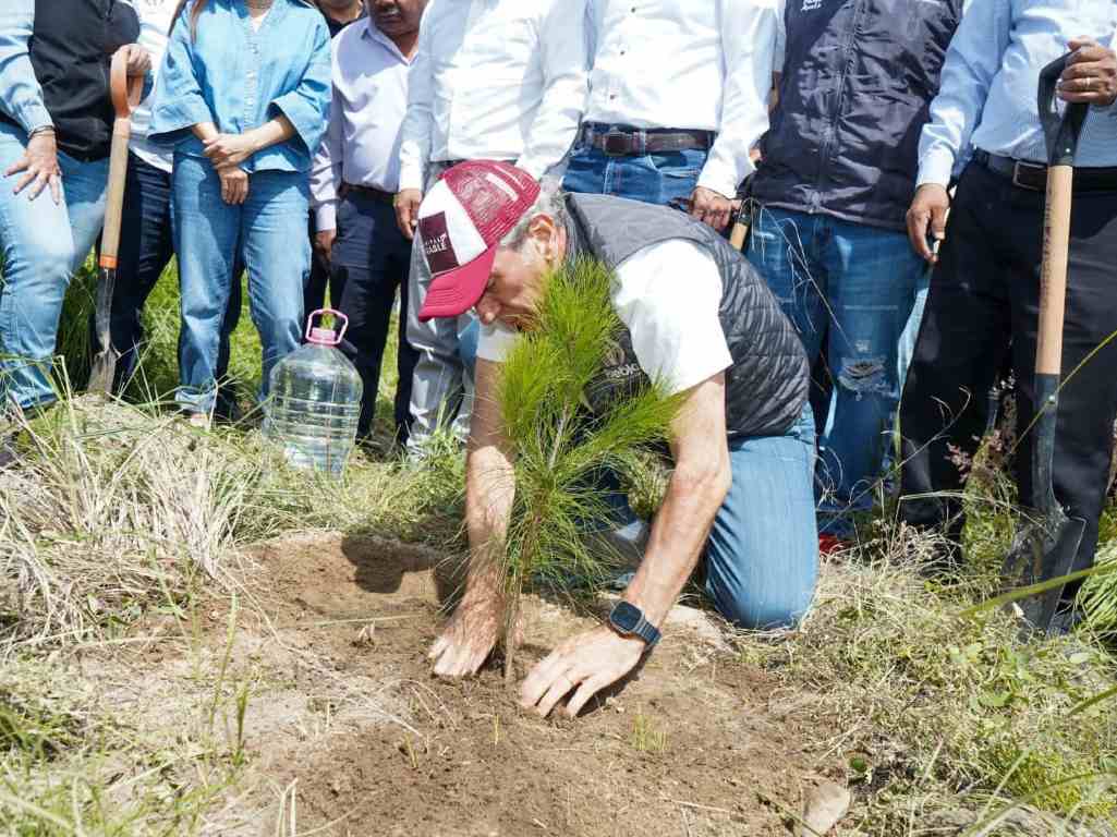 Puebla capital tiene como meta plantar 100 mil árboles para 2026