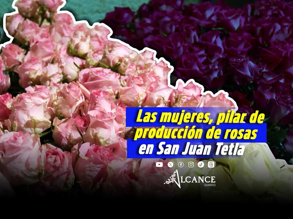 Sin las mujeres, San Juan Tetla no sería el mayor productor de rosas en Puebla