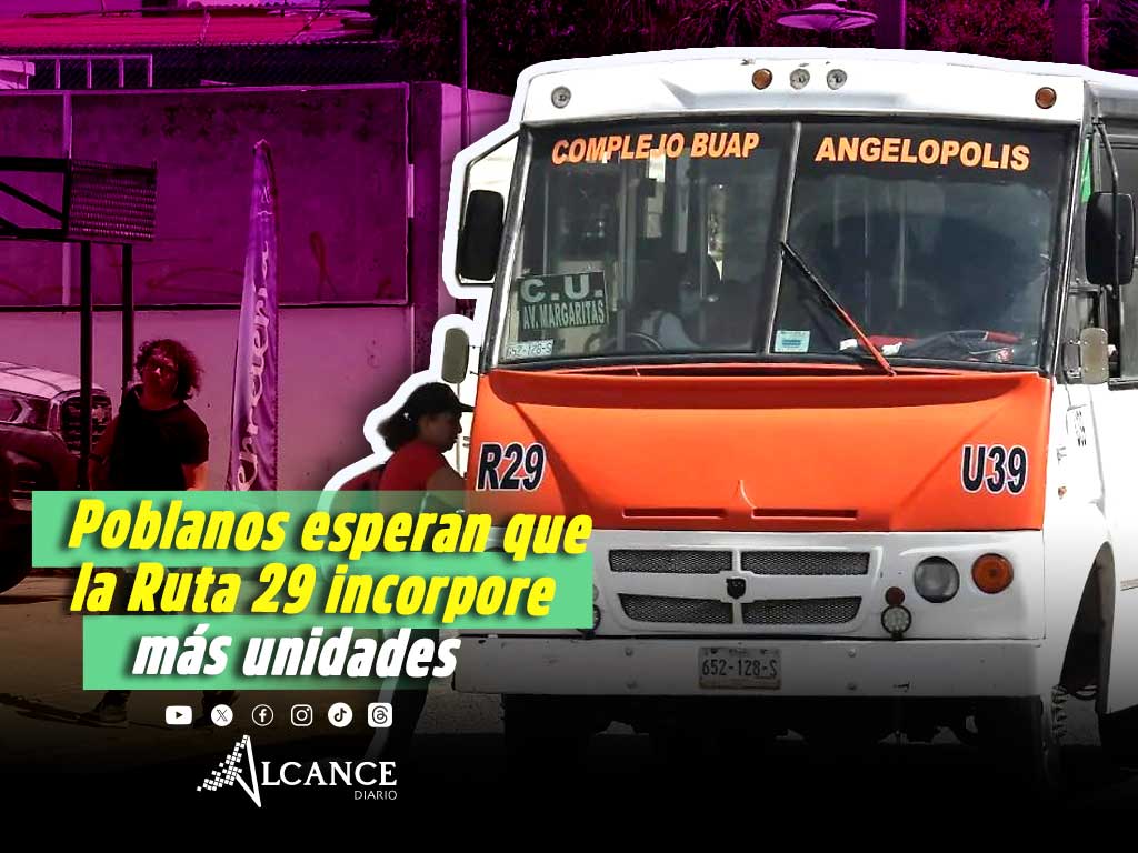 ¿Continuará operando Ruta 29?