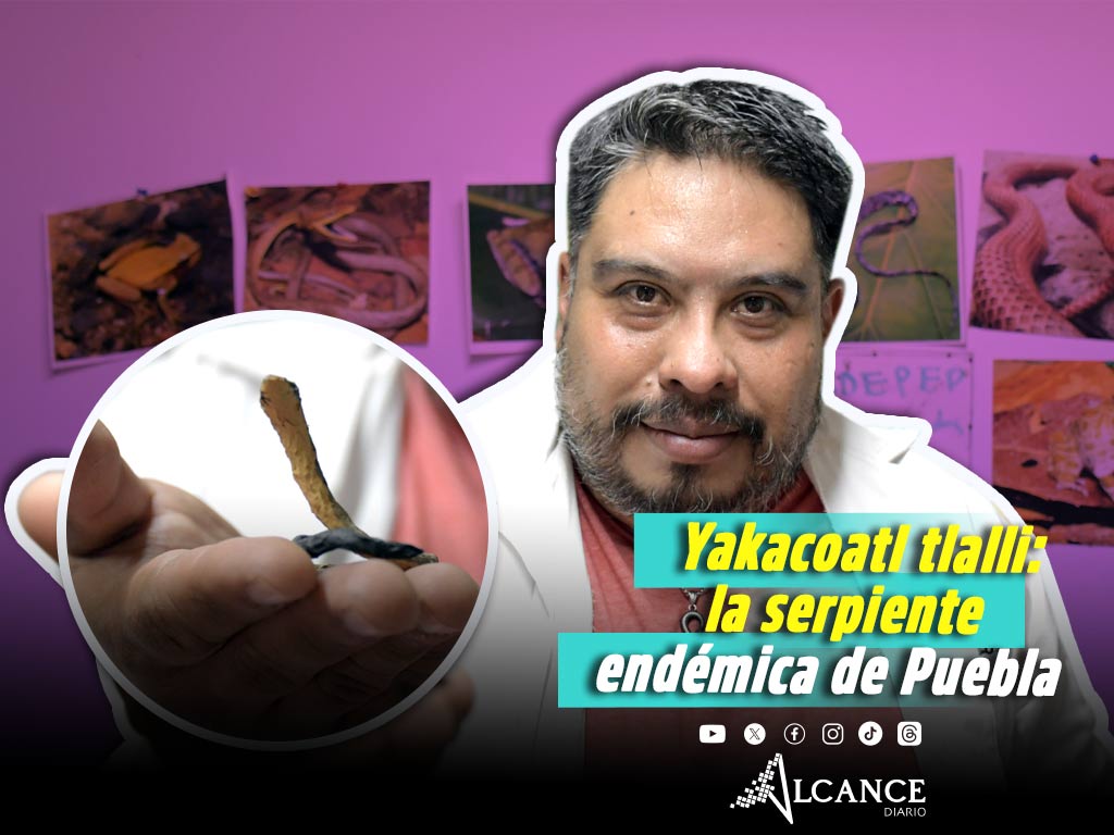 Investigador BUAP descubre una nueva especie de serpiente endémica de Puebla