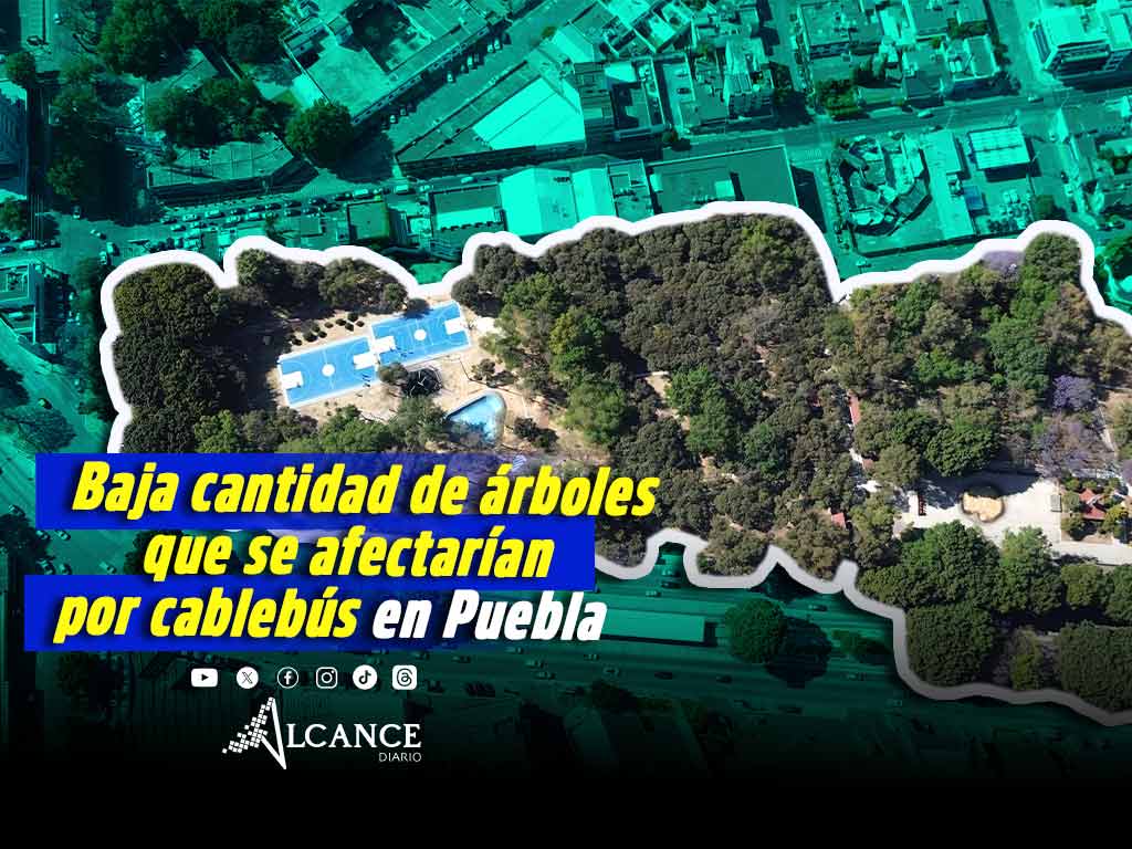 Desciende a 116 número de árboles afectados por construcción de Cablebus en Puebla