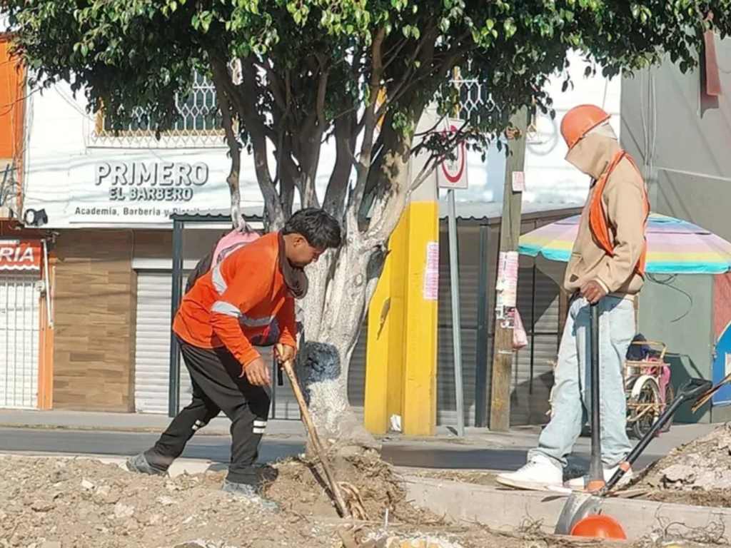 Castigará gobierno de Puebla tala ilegal de árboles en la Calzada Ignacio Zaragoza