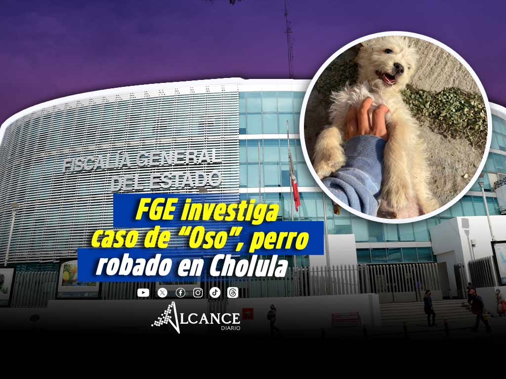 FGE investiga caso de “Oso”, perro sustraído en Cholula y abandonado en Tianguismanalco