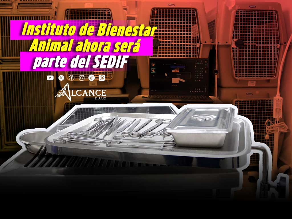 Instituto de Bienestar Animal será administrado por el DIF estatal en Puebla