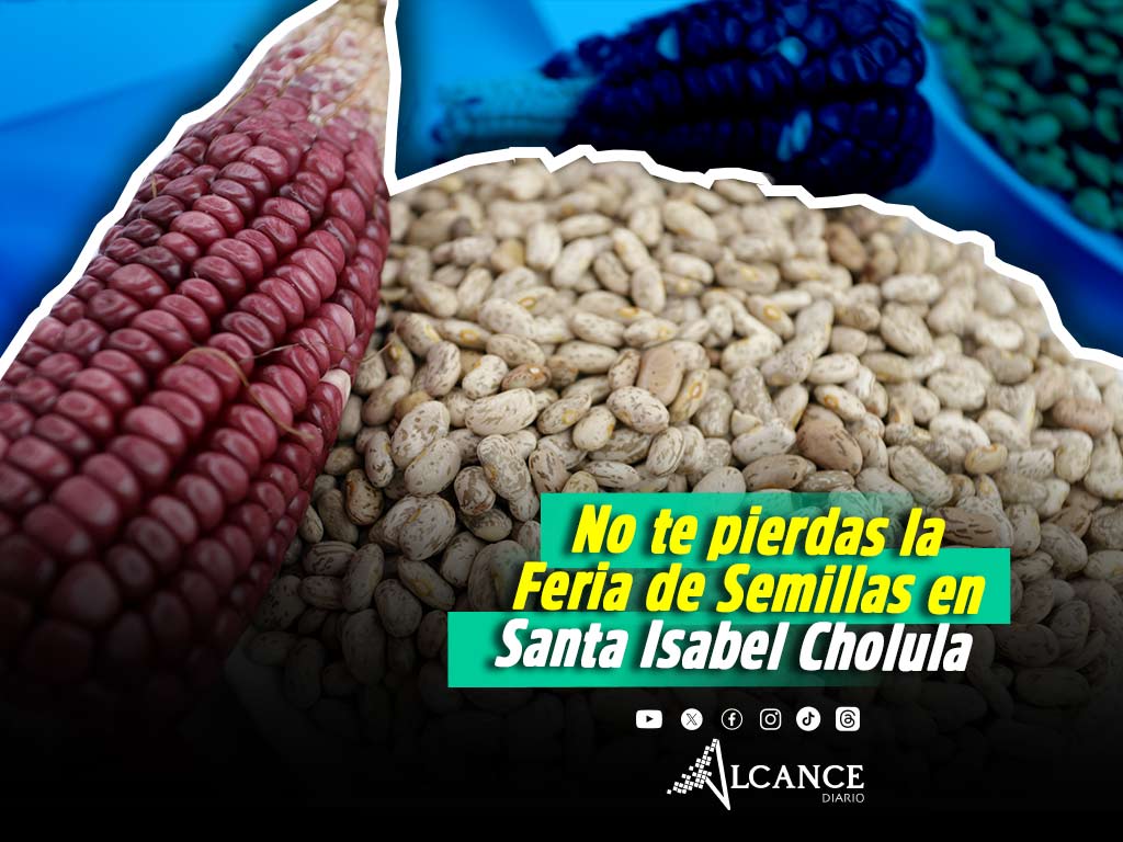 Llega a Santa Isabel Cholula la quinta Feria de Semillas; habrá talleres, conferencias y trueque