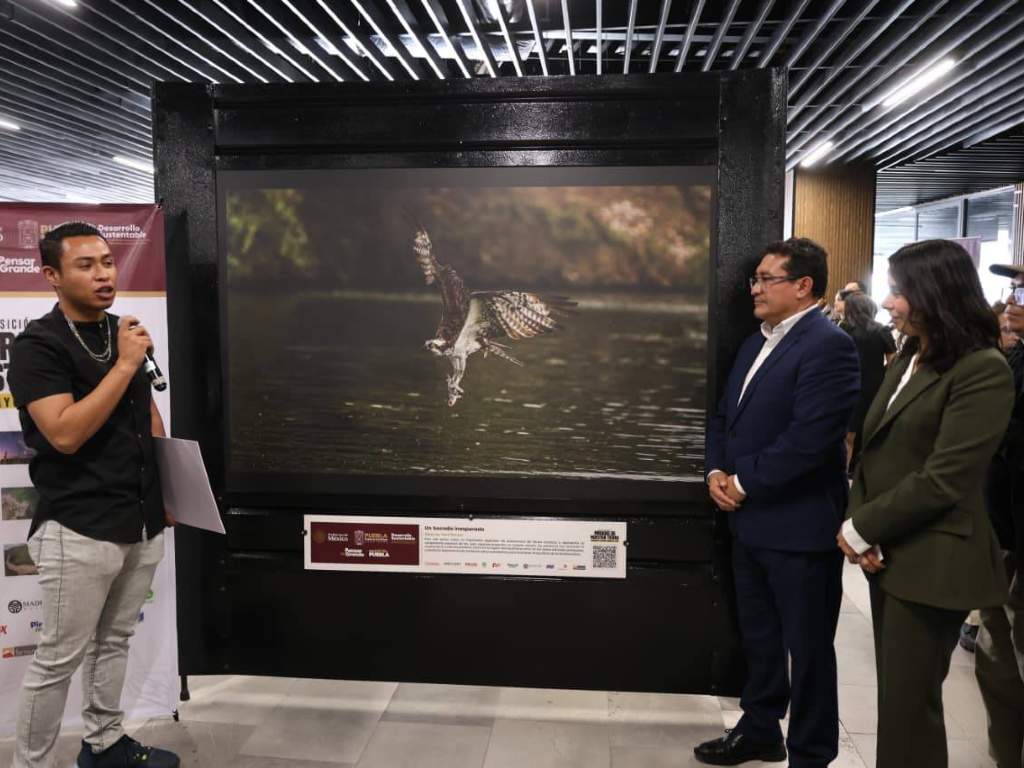 Promueven cultura ambiental desde el Congreso con exposición fotográfica en Puebla