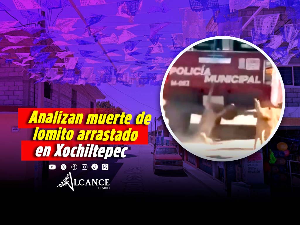Fiscalía espera dictamen de necropsia de perrito que fue arrastrado por patrulla en Xochiltepec