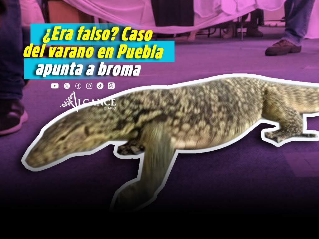 Cría de varano extraviada en Puebla se trataría de una broma; esto se sabe