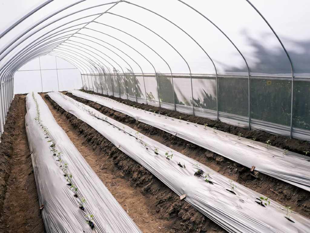 Entregan invernaderos y apoyos al campo en San Andrés Cholula