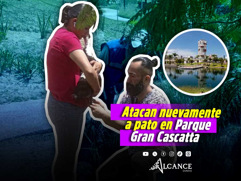 Nuevo ataque a pato en Parque Gran Cascatta provoca indignación entre residentes de Lomas