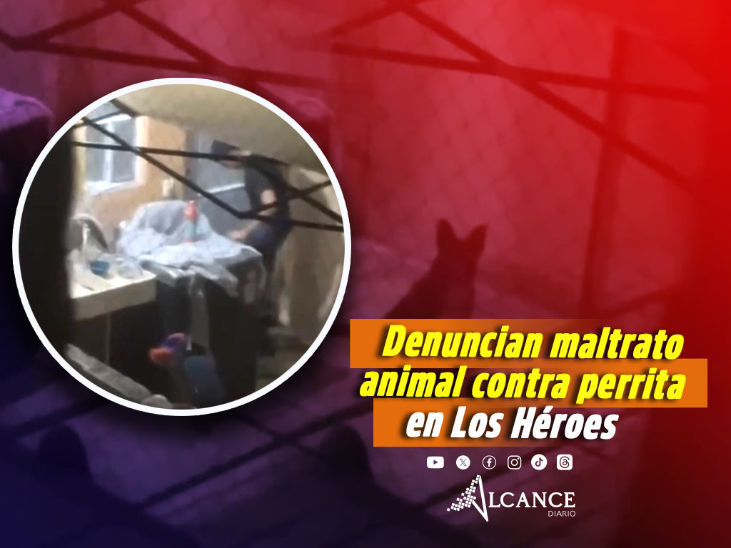 Denuncian maltrato contra "Deysi", una cachorrita en el Fraccionamiento Los Héroes