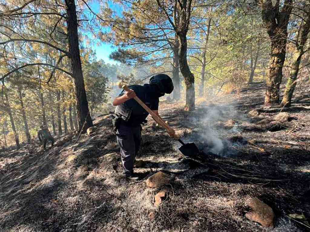 Fortalece Seguridad Pública protección y combate a delitos ambientales