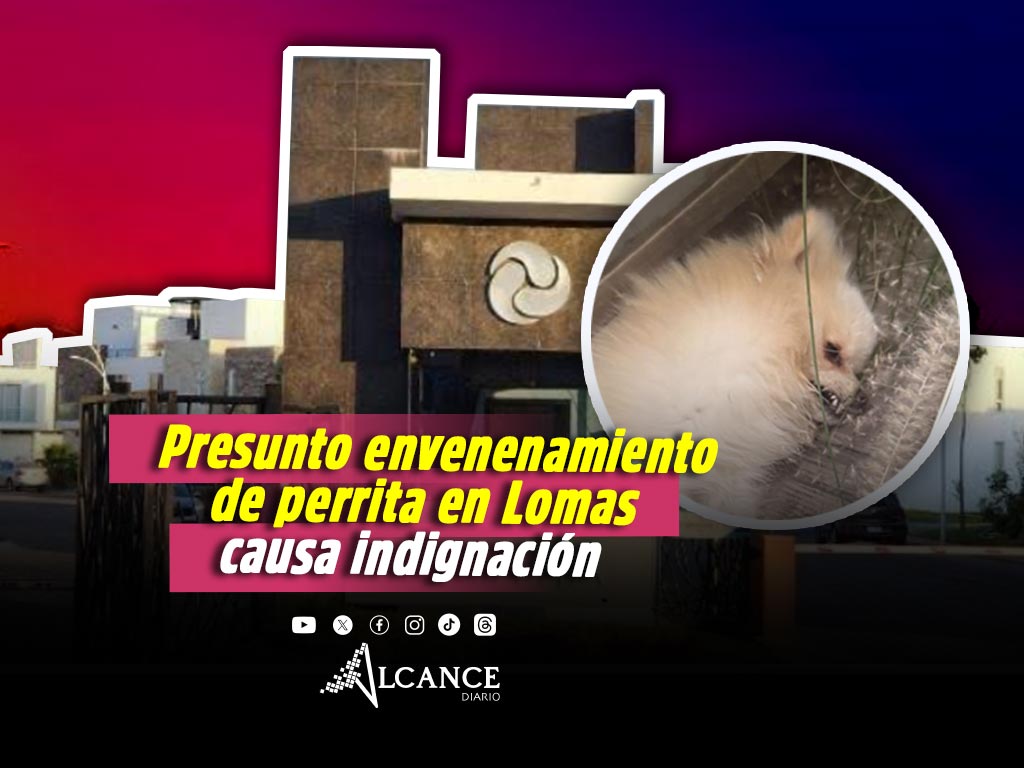 Justicia para Nina: Vecina de Lomas denuncia presunto envenenamiento de su perrita
