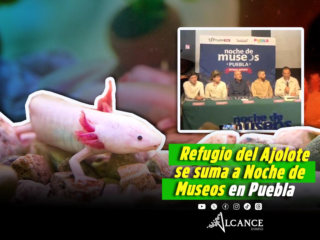Xolokali, Refugio del Ajolote se suma por primera vez a Noche de Museos 2026 en Puebla