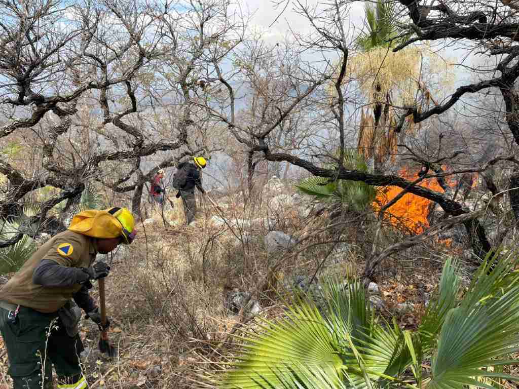 Con coordinación interinstitucional logran sofocar incendio forestal en Cohetzala