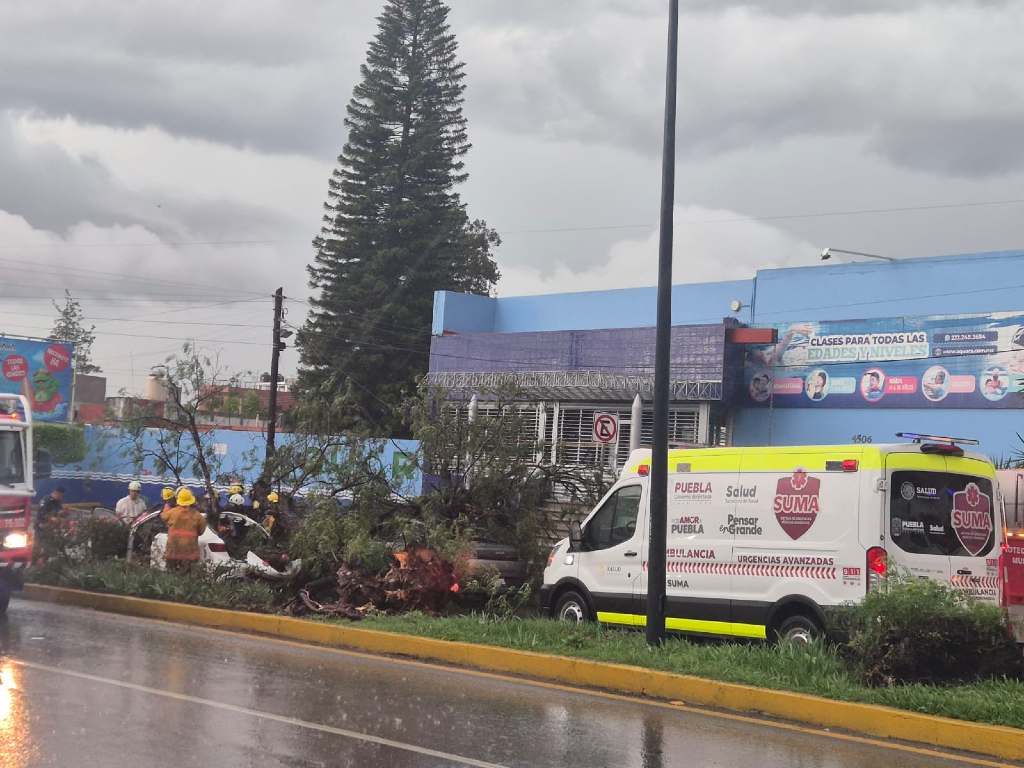 Lluvias derriban árboles y provocan afectaciones viales en varios puntos de la ciudad de Puebla