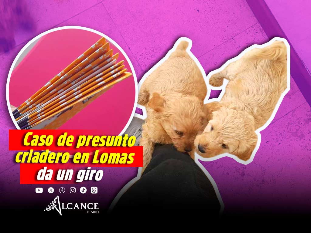 Niegan que hubiera criadero clandestino de perros en Lomas de Angelópolis