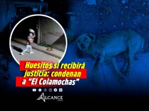 Declaran culpable a “El Colamochas” por crueldad animal contra Huesitos, perrito al que agredió en Miahuatlán