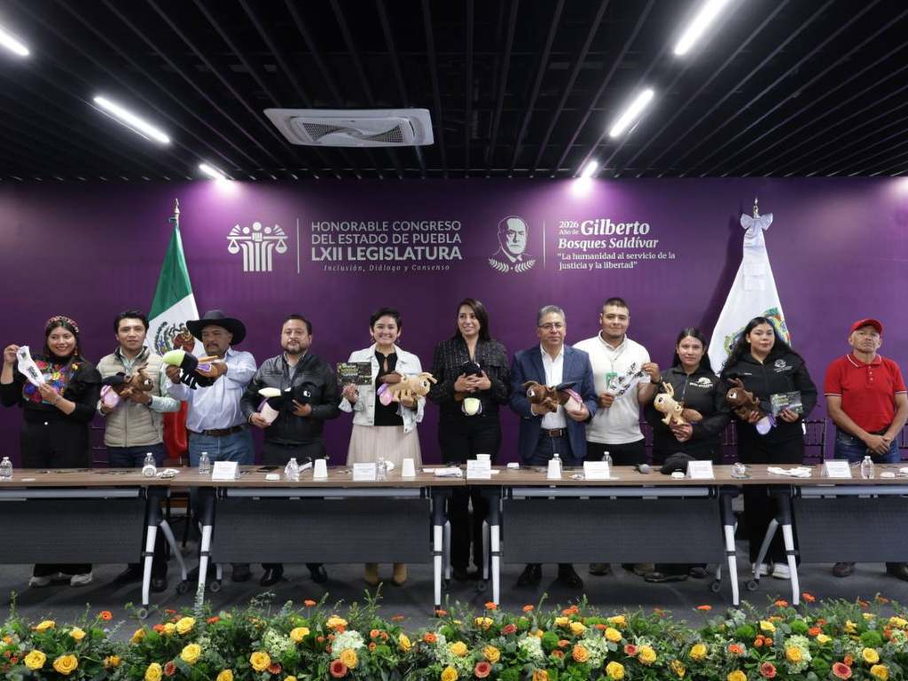 Invitan a vivir la experiencia del avistamiento de luciérnagas en Puebla