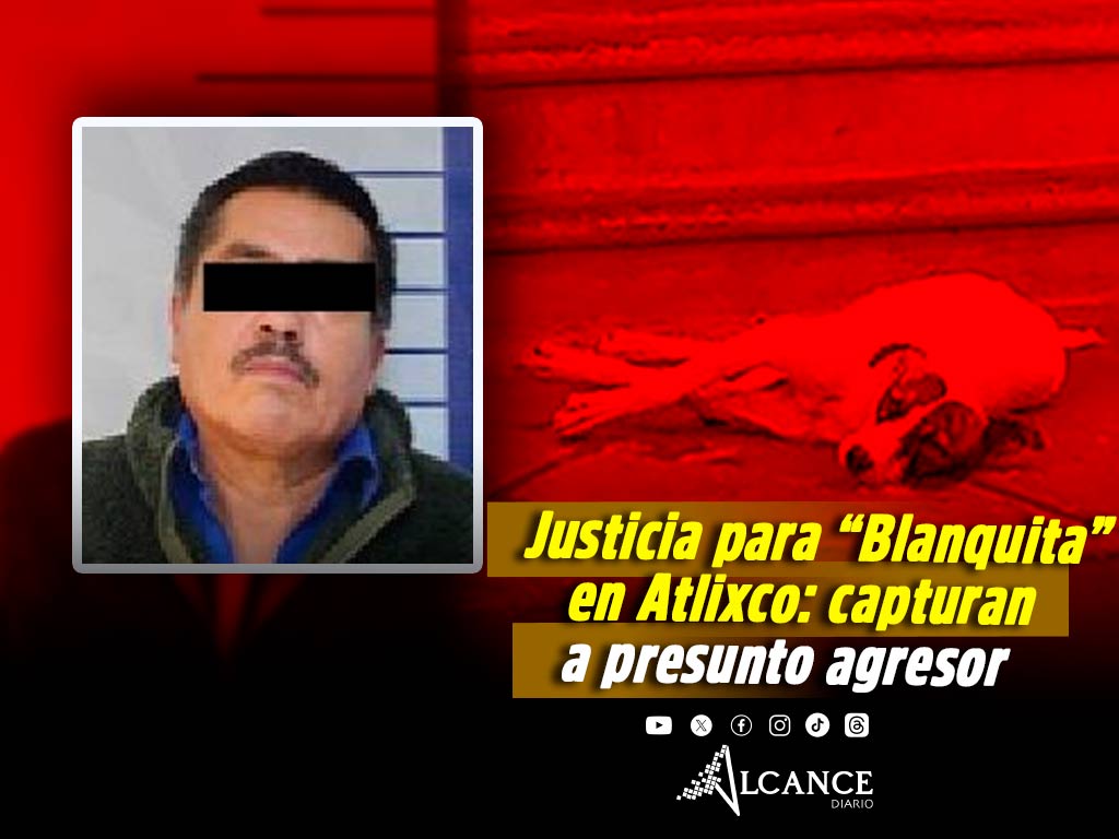 ¡Al fin! Detienen a presunto agresor de “Blanquita”, perrita que recibió disparos por acercarse a carnicería en Atlixco