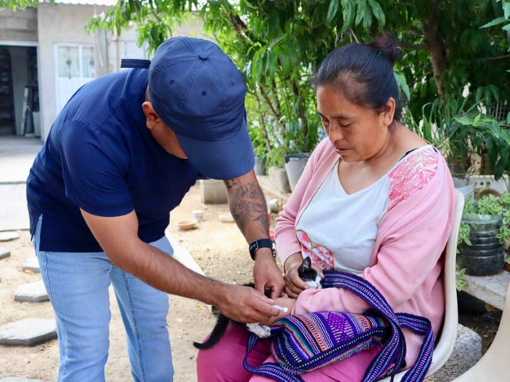 Realiza más de 500 esterilizaciones caninas y felinas en Ocoyucan