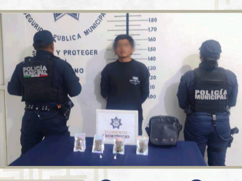Detienen a probable responsable de delitos contra la salud en Santiago Momoxpan
