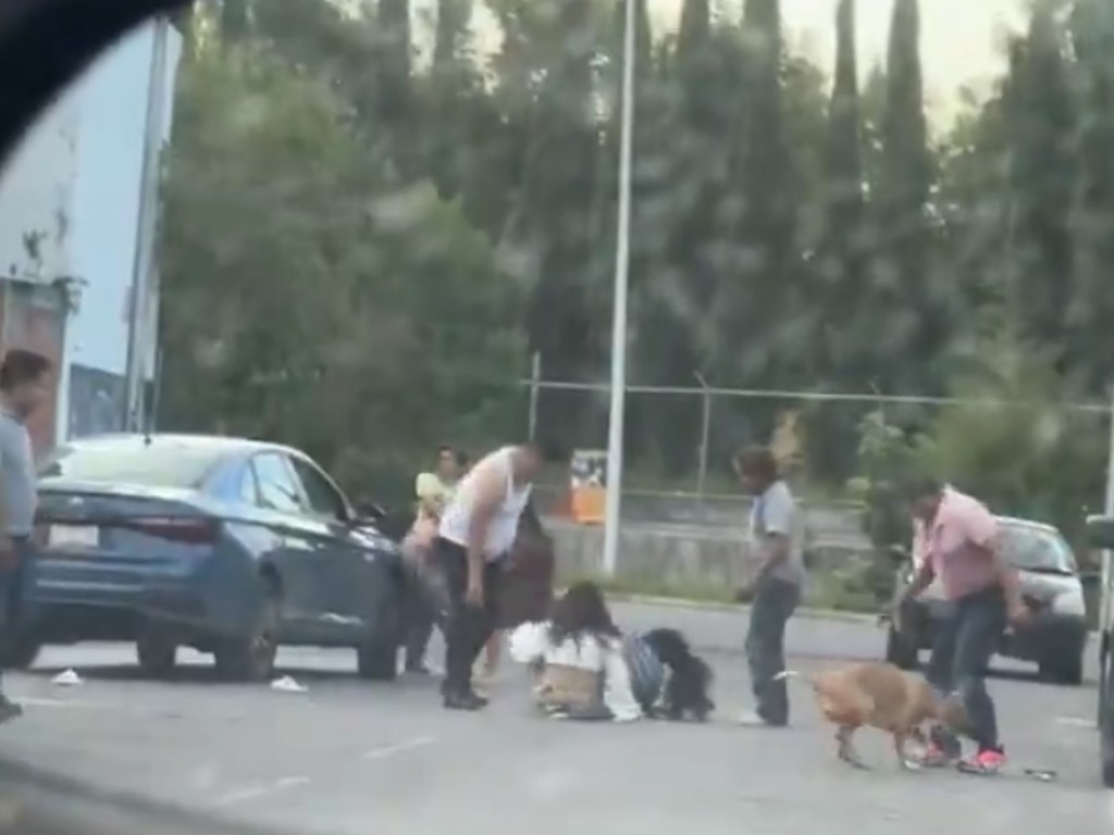 Riña desata alarma en Bosques del Pilar; hasta un perro intervino en la pelea