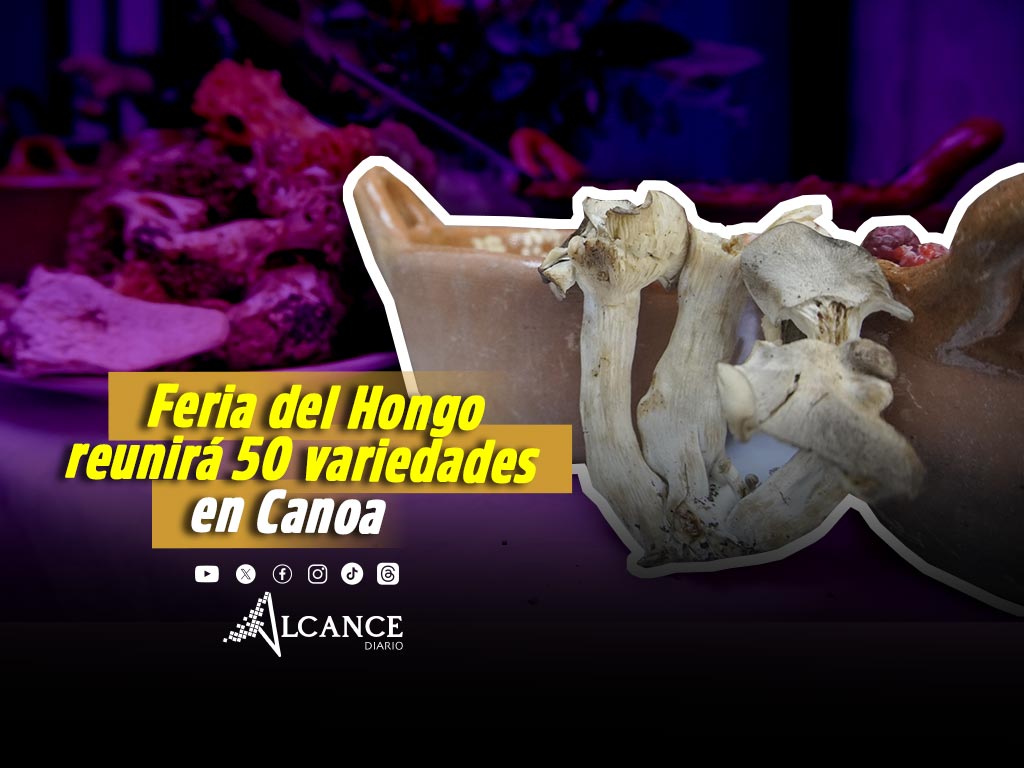 Feria del Hongo Silvestre reunirá más de 50 variedades de hongos y gastronomía tradicional en San Miguel Canoa