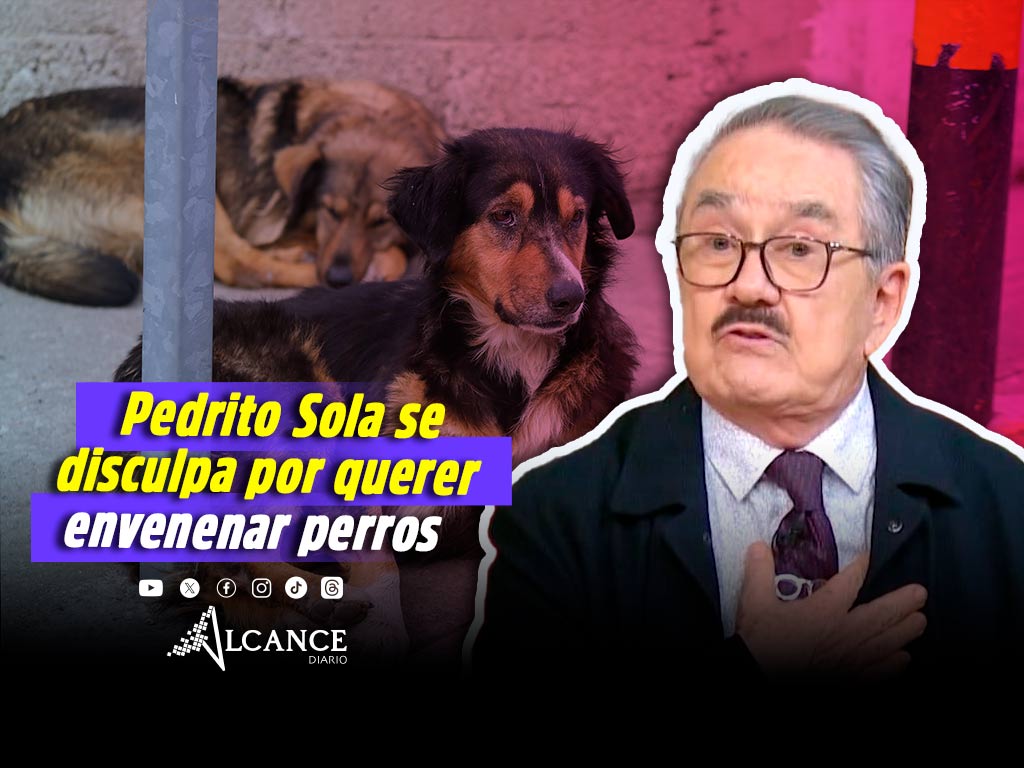 Pedro Sola ofrece disculpas tras polémica por comentarios sobre perros y espacios pet-friendly